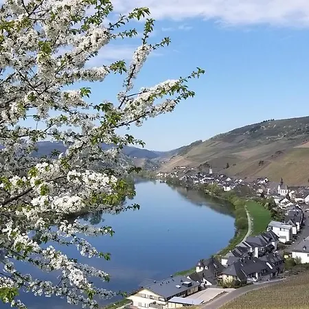 Daire Mosel-appartements Nehren Zell an der Mosel