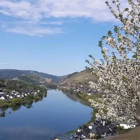 Mosel-appartements Nehren Daire *
