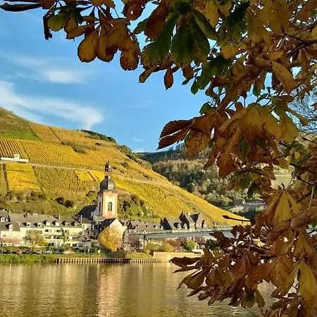 Mosel-appartements Nehren *