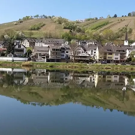 Mosel-appartements Nehren Daire *