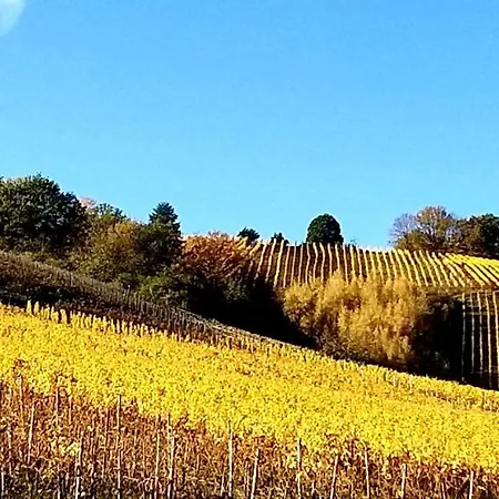 Daire Mosel-appartements Nehren