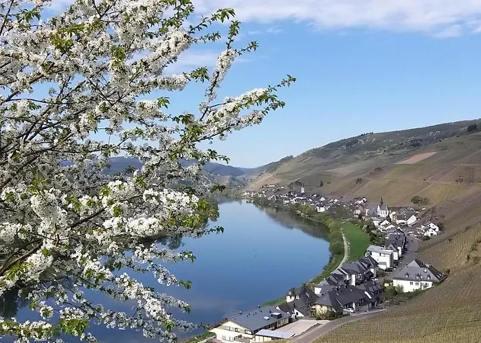 아파트 Mosel-appartements Nehren 첼 안 데어 모젤