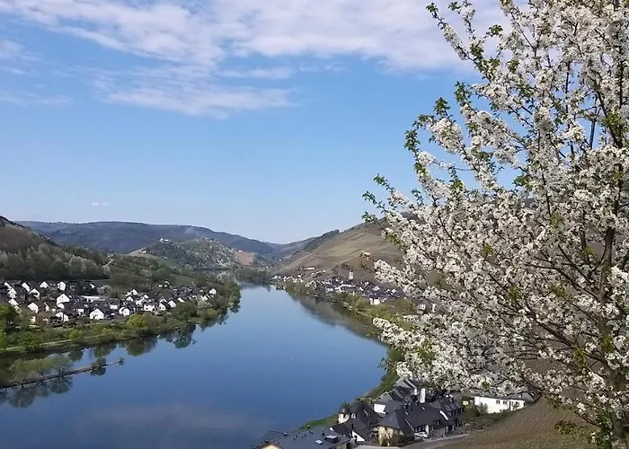 Mosel-appartements Nehren 아파트 *