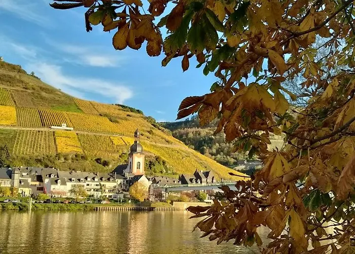 Mosel-appartements Nehren *