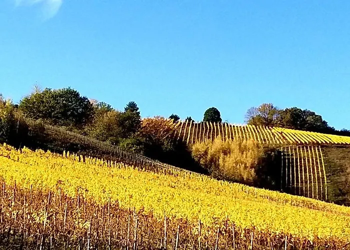 아파트 Mosel-appartements Nehren